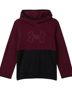 Under Armour Kids Clothing<CB Hundo Hoodie (Big Kid) Dark Maroon