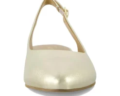 Women Trotters Evelyn