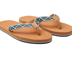 hari mari Fields Camino