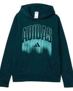 adidas Kids Clothing<Graphic Fleece Hooded Pullover (Big Kid) Dark Green