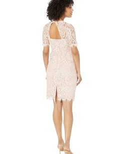 Dresses|Dresses|Vince Camuto Lace Jewel Neck Elbow Sleeve Bodycon Open Back Dress Blush