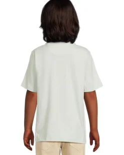 Clothing|Johnston & Murphy Kids Micro Stripe Polo (Big Kid) Green