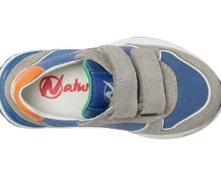 Naturino Shoes<Roy 2 VL (Toddler/Little Kid) Grey/Azure/Orange