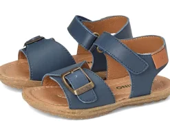 Naturino Shoes<Parin (Toddler/Little Kid) Navy