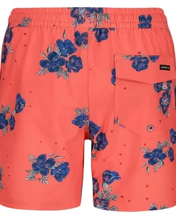 Kids/BOY Quiksilver Kids Surfsilk Mix Volley (Big Kids)