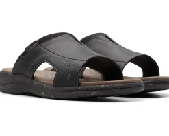 Clarks Walkford Band